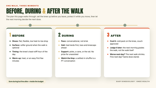 Three-part walking plan diagram: before the walk covers shoes, surface, timing and warm-up; during covers pace, gait and support; after covers cooling the knee and judging it the next morning