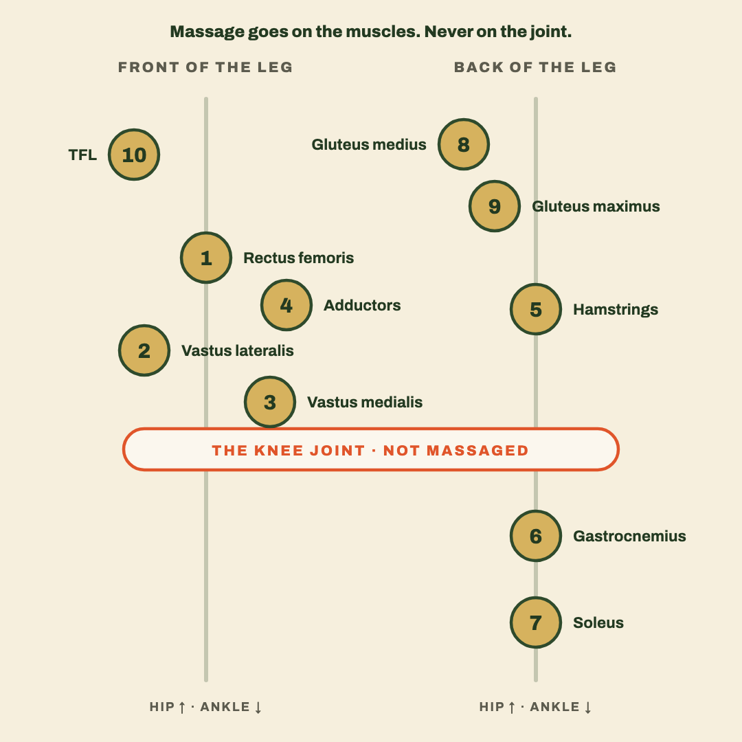 Map of the ten muscle areas around the knee, front and back of the leg